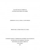 Ciclo de vida dd un producto