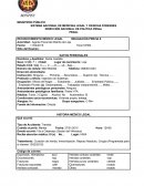 Modelo de peritaje por acidente de tránsito