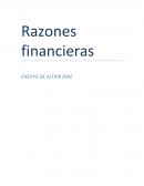 Ensayo Razones financieras