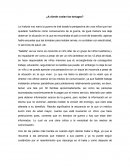 ¿A donde vuelan las tortugas?