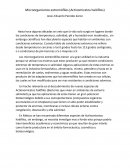 Organismos extremofilos