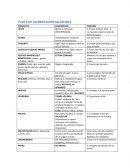 Pauta Alimentación Saludable