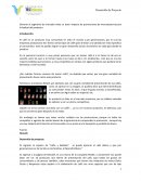 Análisis del consumidor