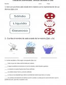 Prueba de ciencias naturales diferenciada