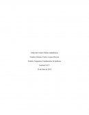 Por qué internet prefiere los cables al wifi