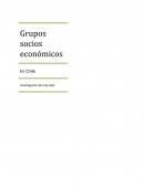 Grupos socios económicos