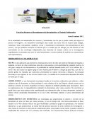Ciencias gerenciales