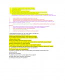 Entrevista a los adolescentes