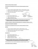 Actividades de reforzamiento segundo grado