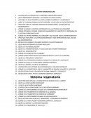 Sistema cardiovascular