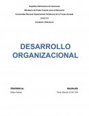 Desarrollo organizacional