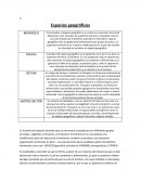 Espacios geograicos