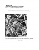 Taller de Acompañanmiento Tarea Director