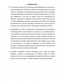 Las exportaciones de alfombras