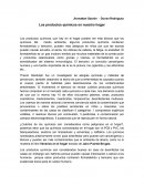 Productos quimicos en nuestro hogar