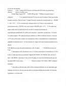 Plan de Negocios Google Maps