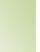 Ensayo migración de hondureños hacia E.E.U.U