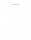 Burbuja inmobiliaria