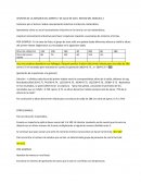 PENSAMIENTO MATEMÁTICO