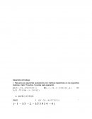 Matrices en programación