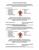 Comunidad