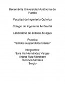 Determinacion de solidos totales