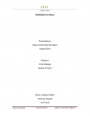 Diagrama de flujos de información Q´PAILA