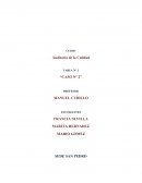 Herraminetas softare