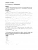 Matematica: figuras gemetricas