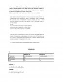 Actividad Empresa X, Y