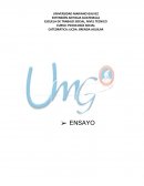 Ensayo sobre basureros clandestinos