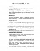Formacion laboral Juvenil