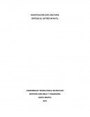 Estres infantil ensayo