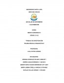 TRABAJO DE INVESTIGACIÓN TRAUMA MÚSCULO ESQUELÉTICO