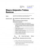 Como hacer tu curriculum