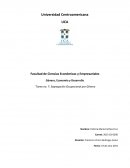 Tipo de empresa u organización en la cual trabaja la mujer entrevistada: Pública