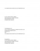 HABILIDADES GERENCIALES 1