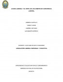 Acoso laboral y el papel de los comites de convivencia laboral
