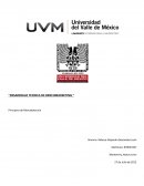 TECNICA DE BENCHMARKING