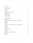 Innovacion de un producto