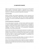 Organizacion Maquinal