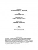 EVALUACIÓN DE IMPACTOS AMBIENTALES
