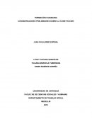 Consideraciones sobre la constitucion