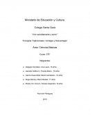 Tradicionales; Ventajas y Desventajas