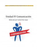 UNIDAD IV Comunicacion