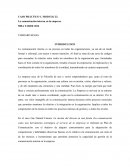 La comunicación interna es un proceso en todas las organizaciones