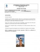 Democracia Asignatura: Sociedad de la Información (SON0)