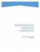 Seguridad informatica