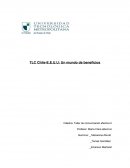 TLC Chile-E.E.U.U: Un mundo de beneficios Cátedra: Taller de comunicación efectiva II