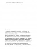 ¿Tienen que ver el color de frutas y verduras con la salud?